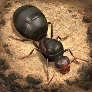 The Ants: Underground Kingdom — 1500 Ant Coins
